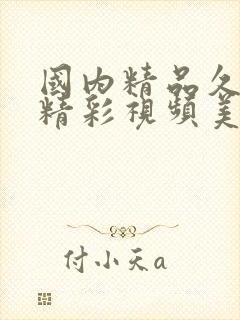 国内精品久久久精彩视频美女视频