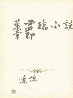 叶君临小说最新章节封面