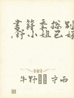 书籍季总别虐了,舒小姐已嫁人封面