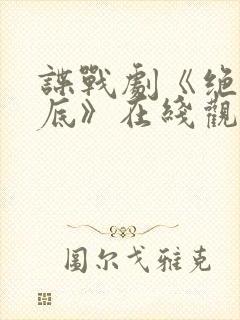 谍战剧《绝密卧底》在线观看