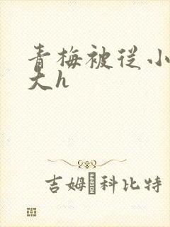 青梅被从小摸到大h