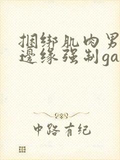 捆绑肌肉男榨精边缘强制gay小说封面