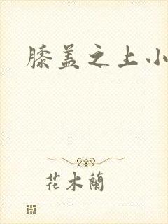 膝盖之上小说封面