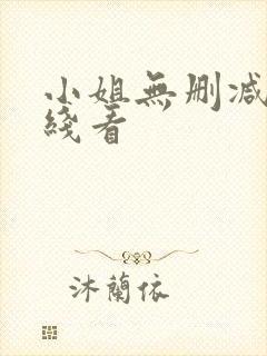 小姐无删减版在线看封面
