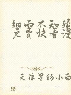细雨不知归漫画免费快看漫画