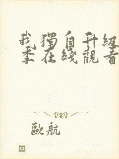 我独自升级第一季在线观看全集免费播放