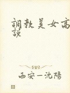 调教美女高h小说封面
