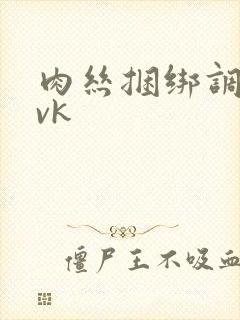 肉丝捆绑调教丨vk