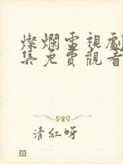 灿烂电视剧40集免费观看
