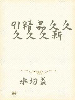 91精品久久久久久久新