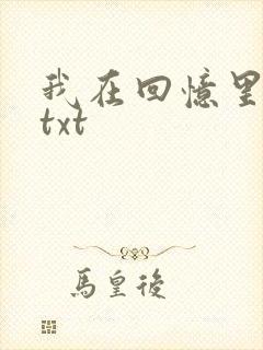 我在回忆里等你txt封面