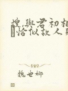 搜,与君初相识·恰似故人归
