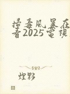 扫毒风暴在线观看2025电视剧