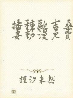 书籍封面