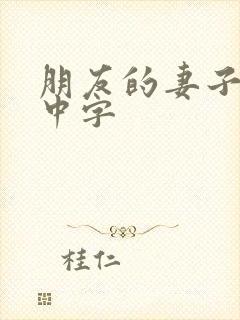 朋友的妻子韩语中字