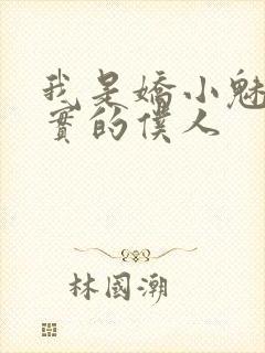我是娇小魅魔忠实的仆人封面