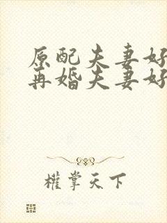 原配夫妻好还是再婚夫妻好