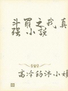 斗罗之我真的不强 小说