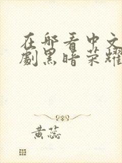 在哪看中文版韩剧黑暗荣耀第二季