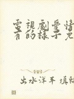 电视剧爱情应该有的样子免费播放封面