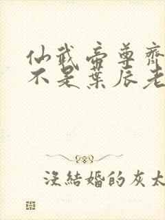 仙武帝尊齐月是不是叶辰老婆