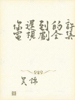 你迟到的许多年电视剧全集免费播放