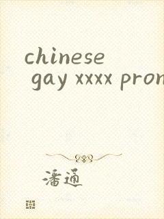 chinese gay xxxx pron twink封面