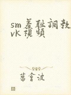 sm羞耻调教丨vk视频