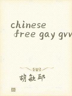 chinese free gay gvvideo