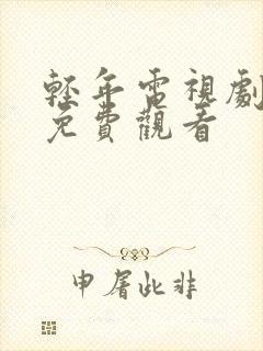 轻年电视剧在线免费观看