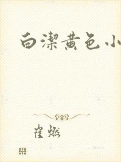 白洁黄色小说