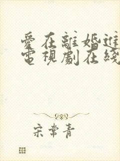 爱在离婚进行时电视剧在线免费观看