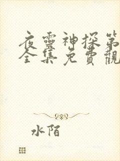 夜灵神探第一季全集免费观看高清封面