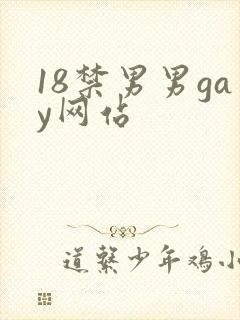18禁男男gay网站