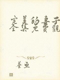 完美的妻子在线全集免费观看电影封面
