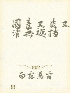 国产又爽又黄高清无遮挡