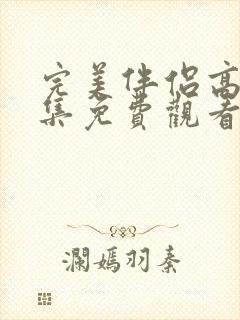完美伴侣高清全集免费观看