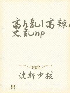 高h乱l高辣h文乱np