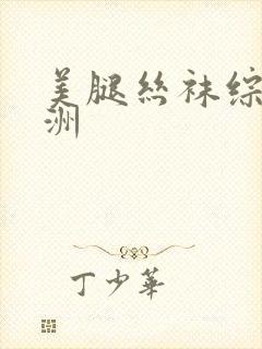 美腿丝袜综合亚洲