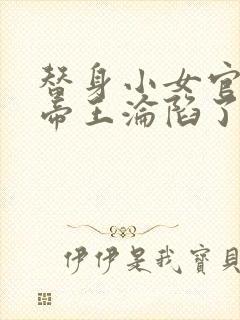 替身小女官腹黑帝王沦陷了封面