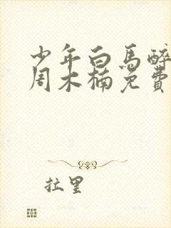 少年白马醉春风周木楠免费