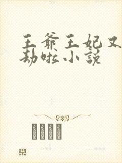 王爷王妃又去打劫啦小说
