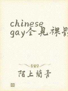chinesegay全见裸体