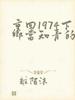 重回1974下乡当知青的小说