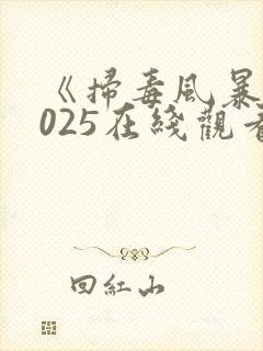 《扫毒风暴》2025在线观看