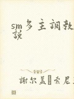sm多主调教小说封面