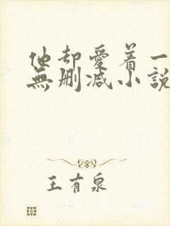 他却爱着一个他无删减小说