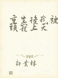 重生后我被死对头宠上天