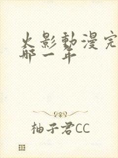 火影动漫完结是哪一年