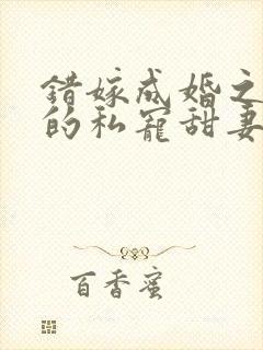 错嫁成婚之总裁的私宠甜妻